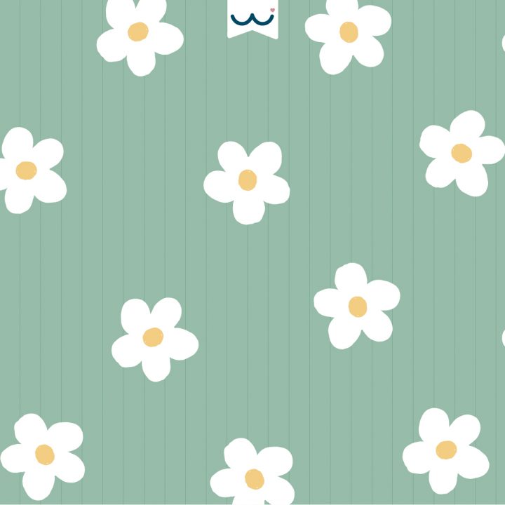 Wallpaper iPad-Verde Margaridas