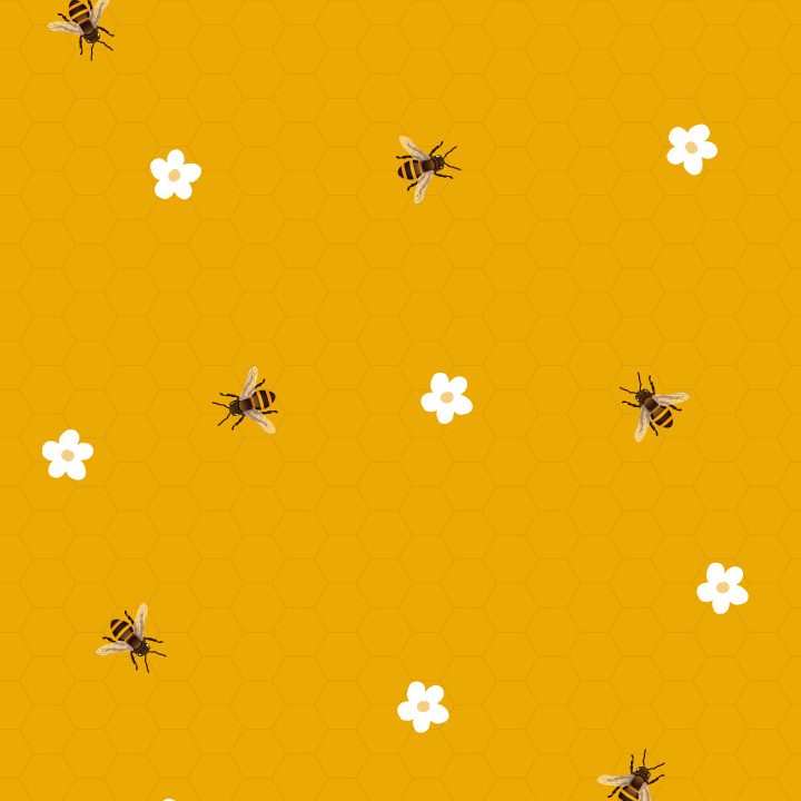 amarela-queen-bee